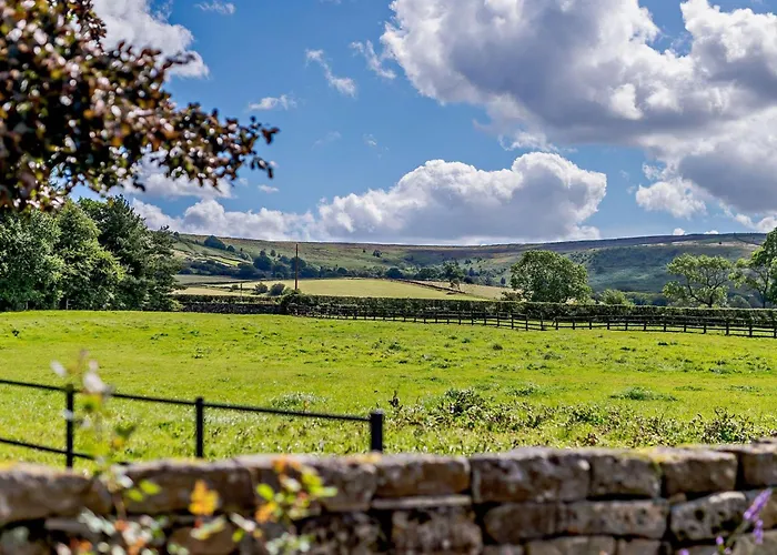 1 Bed In Oc-93100 Chop Gate